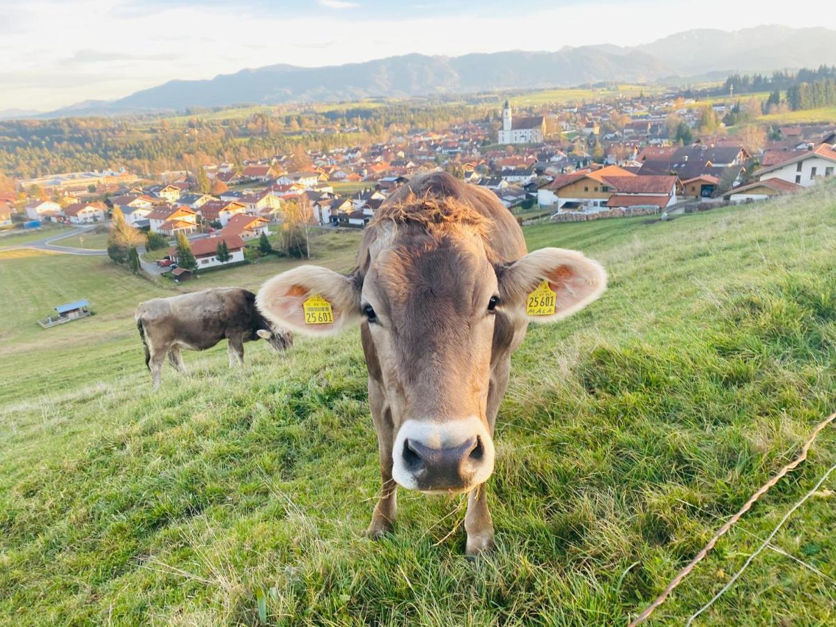Herzland Allgäu: Cozy Retreat With Garden, Fireplace & Königscard Lechbruck