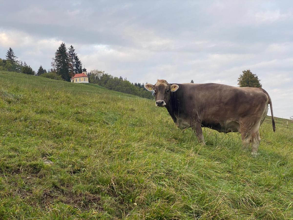 Holiday home Herzland Allgäu: Cozy Retreat With Garden, Fireplace & Königscard